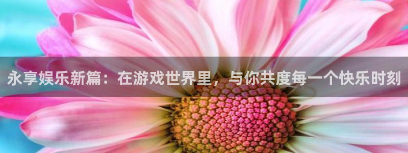 极悦平台注册网页版：永享娱乐新篇：在游戏世界里，与你共度每一个快乐时刻