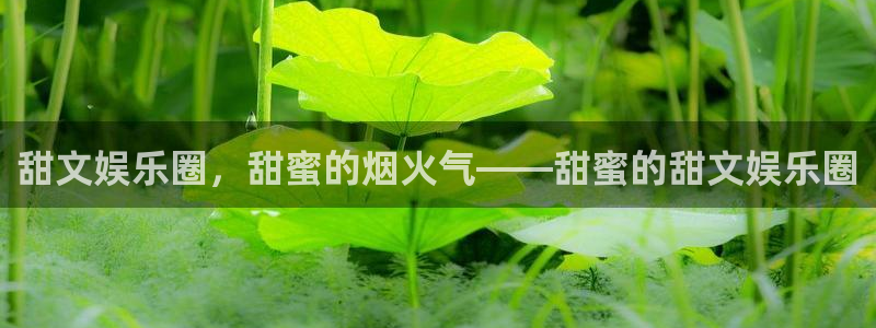 极悦平台下载链接是多少：甜文娱乐圈，甜蜜的烟火气——甜蜜的甜文娱乐圈