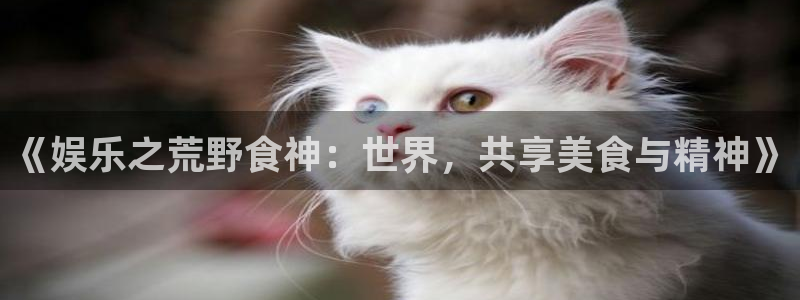极悦平台网站登录流程：《娱乐之荒野食神：世界，共享美食与精神》