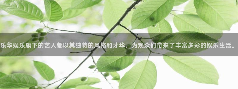 极悦平台.com：乐华娱乐旗下的艺人都以其独特的风格和才华，为观众们带来了丰富多