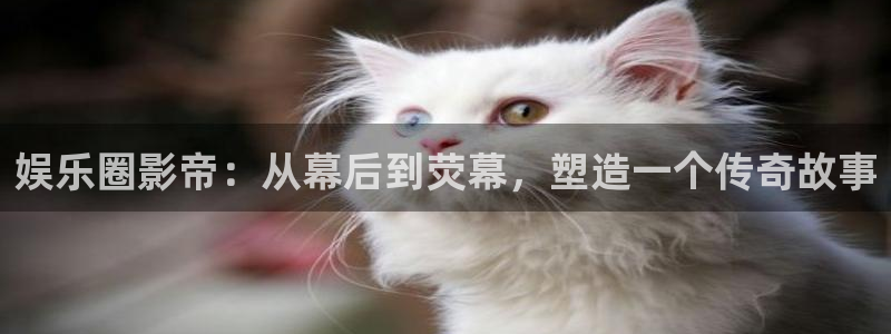 极悦平台ccmpc麻将胡了：娱乐圈影帝：从幕后到荧幕，塑造一个传奇故事