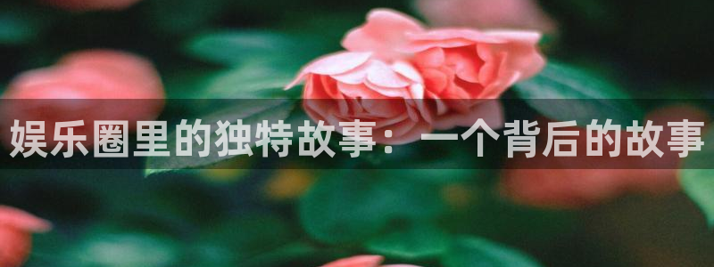 极悦平台下载地址：娱乐圈里的独特故事：一个背后的故事
