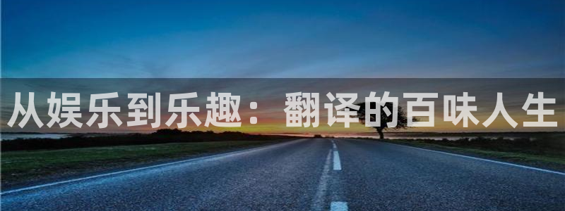 极悦平台平台主管：从娱乐到乐趣：翻译的百味人生